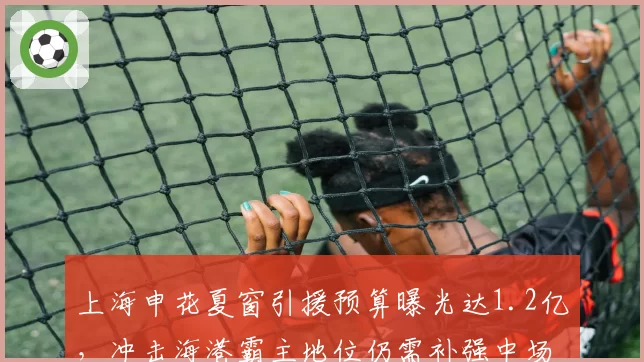 上海申花夏窗引援预算曝光达1.2亿，冲击海港霸主地位仍需补强中场厚度__br_