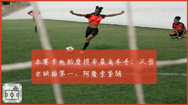 本赛季轮胎磨损率最高车手：汉密尔顿排第一，阿隆索紧随