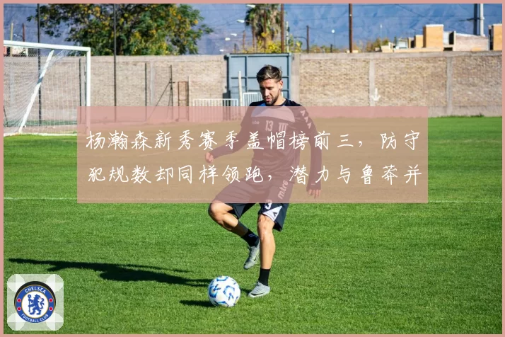 杨瀚森新秀赛季盖帽榜前三，防守犯规数却同样领跑，潜力与鲁莽并存引争议