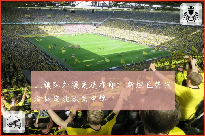 三镇队外援更迭在即:斯坦丘替代者锁定北欧高中锋