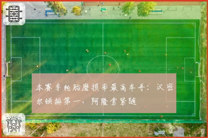 本赛季轮胎磨损率最高车手:汉密尔顿排第一,阿隆索紧随